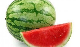 描写众人吃瓜,众人共享的欢乐时光