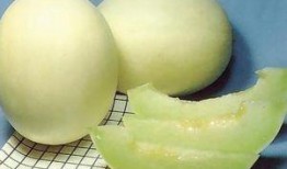 吃甜瓜还是吃蜜瓜减肥快,揭秘哪种水果助你更快瘦身