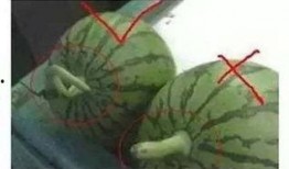 音效 吃瓜,跟随“吃瓜”声探寻美食之旅