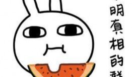 穿越搞笑吃瓜系统