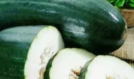 春月吃瓜,探寻传统美食的春日风情