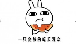 吃瓜啥子意思呀,网络时代的围观文化现象