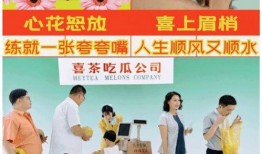 广告视频吃瓜,揭秘幕后故事与流行文化现象