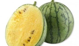 板登吃瓜,揭秘娱乐圈的“瓜田”趣事