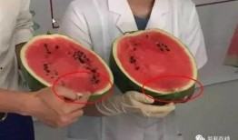 吃瓜群众最甜视频,揭秘“吃瓜群众最甜视频”背后的甜蜜故事