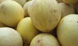 吃白兰瓜过敏,探寻过敏源与应对策略