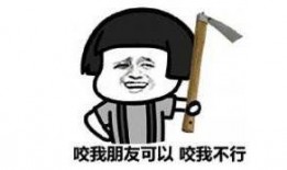 吃瓜的吸引力,一场视觉与味蕾的双重盛宴