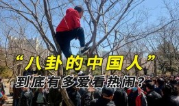 缅甸内战旁边吃瓜,邻国民众“吃瓜”热议
