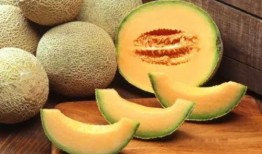 哈密瓜种子瓜可以吃吗,可食用之谜揭秘