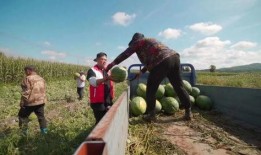 吃瓜群众岱岱宗