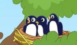 秀才吃瓜猜动物,一场趣味横生的智力挑战