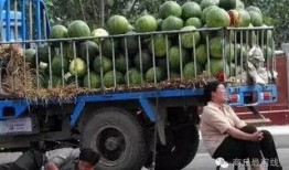 商丘吃瓜最新,揭秘当地热门美食背后的故事