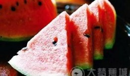 最佳吃瓜群众视频,视频中的趣味与智慧