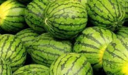 吃瓜群众标标,揭秘娱乐圈那些事儿