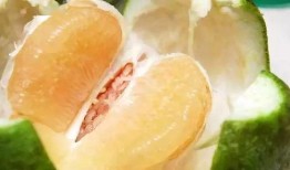 血糖高可不可以吃佛手瓜,佛手瓜，适宜的绿色选择？