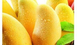 月经可以吃梨瓜,梨瓜助力健康调理