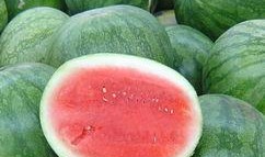 九欧拆卡吃瓜,一场别开生面的吃瓜盛宴