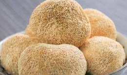 猴头瓜怎么吃,探索美味与健康的完美结合