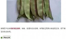 吃瓜湖北孝感,探寻湖北孝感美食文化之旅