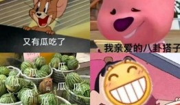 文档吃瓜,揭秘吃瓜背后的文化现象与社会影响