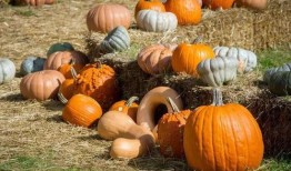 定州吃瓜最新事,揭秘最新热点事件背后的真相