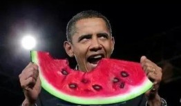 美国吃瓜人,揭秘美国社会现象背后的真相