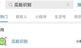 支付宝吃瓜群怎么看,揭秘社交圈里的趣味与热议