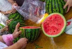 吃瓜视频宿舍,揭秘宿舍生活的趣味瞬间