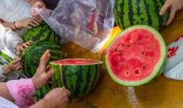 吃瓜视频宿舍,揭秘宿舍生活的趣味瞬间