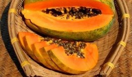 吃瓜雷州,吃瓜之旅，品味地道的雷州风味