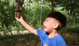 吃瓜李如意,揭秘娱乐圈背后的故事