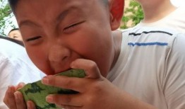 湾区吃瓜群众,揭秘娱乐圈幕后风云