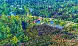 康桥镇三林塘崩瓜怎么吃,传统美食的独特吃法揭秘