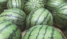 临海塘头吃瓜,瓜香四溢的临海风情