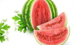 林霜霜吃瓜,揭秘娱乐圈幕后真相