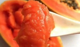 吃瓜雷州,吃瓜之旅，品味地道的雷州风味