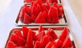 吃瓜大赛卷圈,一场舌尖上的狂欢盛宴