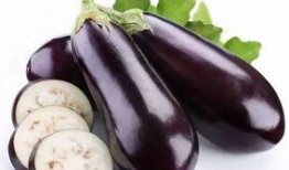 茄子网站吃瓜,揭秘吃瓜群众的网络盛宴