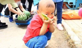 祖祖吃瓜,揭秘娱乐圈背后的那些事儿