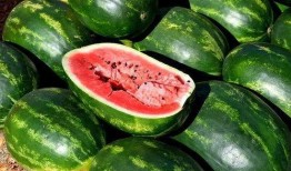 双击吃瓜视频大全,视频大全带你领略热门事件瞬间