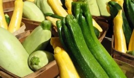 小榄吃瓜,探寻当地特色美食之旅