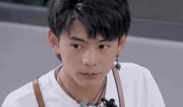 吃瓜小记黄晓明,吃瓜小记里的娱乐圈风云