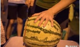 吃瓜群众大林子,吃瓜群众大林子的趣味生活点滴