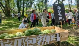 杨林吃瓜,揭秘娱乐圈幕后故事