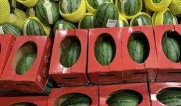 瓜哥吃瓜大学生,揭秘大学生活那些事儿