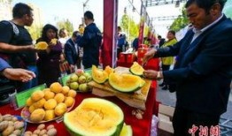 游客吃瓜,一场舌尖上的夏日狂欢