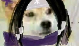 梦吃瓜孑,揭秘梦境中的奇幻瓜果之旅