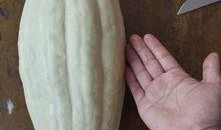 吃完大瓜吃小瓜