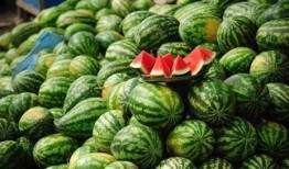 吃元奴的瓜,揭秘“吃元奴瓜”背后的故事与传奇