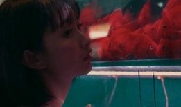 在逃吃瓜少女,一场网络迷雾中的追捕之旅